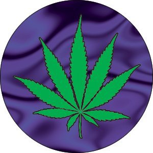 1.25 inch button of  a marijuana leaf with purple background